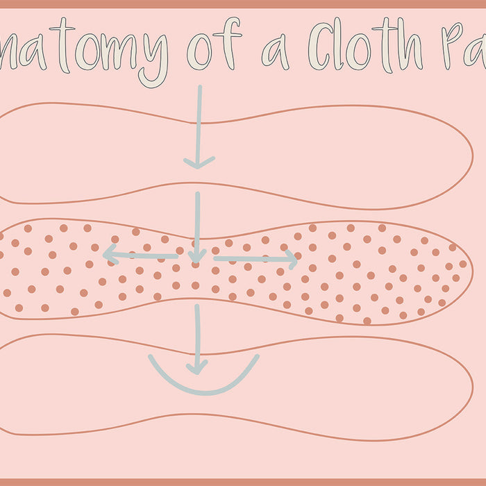 Anatomy Of A Cloth Pad