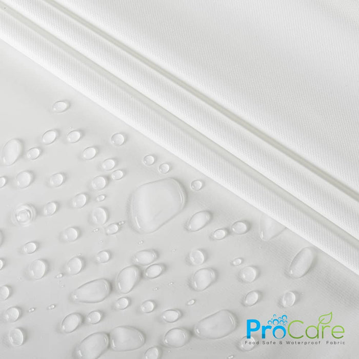 Versatile ProCare® Food Safe Waterproof Fabric (W-443) in White for Tote Bags. Beauty meets function in design.